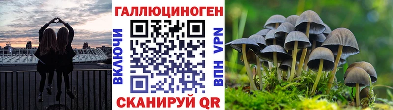 Галлюциногенные грибы Cubensis  мега ТОР  Ялта 