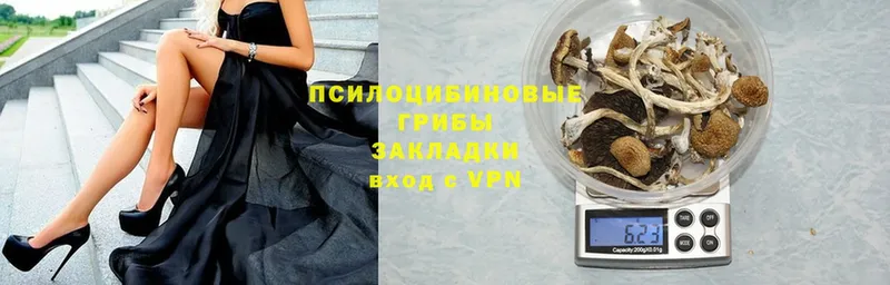 Галлюциногенные грибы ЛСД  shop официальный сайт  Ялта 