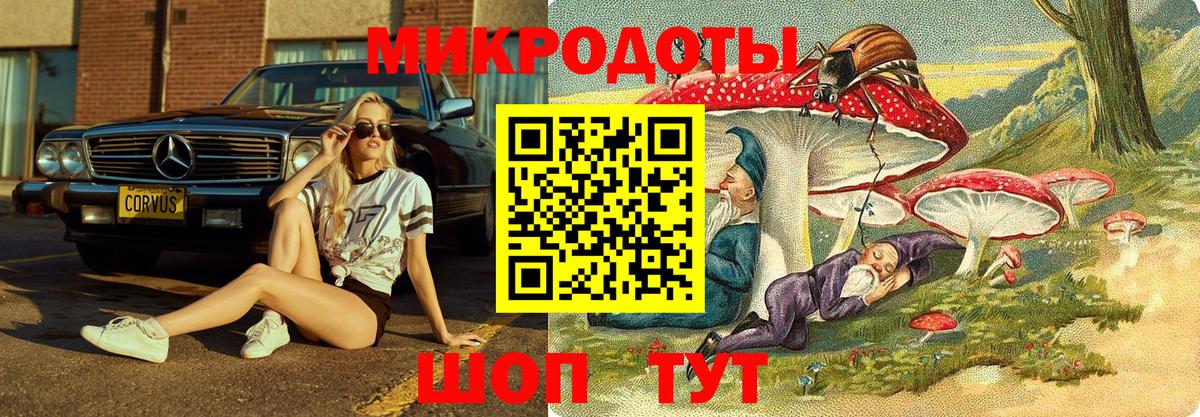 Псилоцибиновые грибы Psilocybine cubensis  Вход с VPN  Ялта 